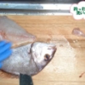 マダイの洗い 刺身が歯応えあるぷりぷりに 簡単 レシピ 作り方 By 谷口そら 楽天レシピ マダイの洗い 刺身が歯応えあるぷりぷりに 簡単 レシピ 作り方 By 谷口そら 楽天レシピ